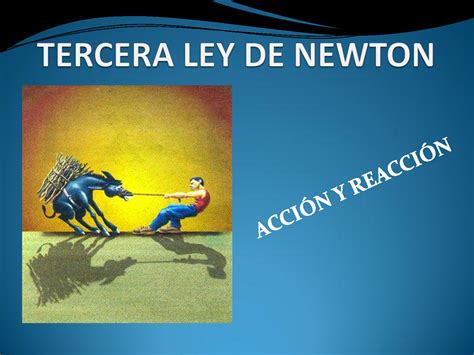 5 Ejemplos 10 Ejemplos De La Tercera Ley De Newton Con Dibujos Nuevo