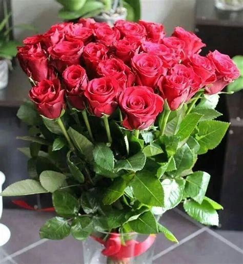 A Bunch Of The Most Beautiful Flowers Red Roses Красные цветы
