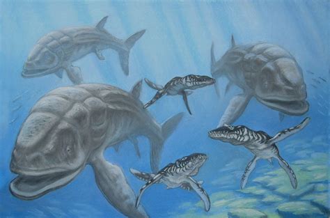 The secret to the large size of leedsichthys is probably down to its lifestyle as a filter feeder. Leedsichthys, Liopleurodon. by ABelov2014 | Spinosaurus ...