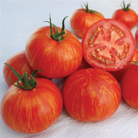 Skyreacher Tomato Heirloom Tomato Seeds Totally Tomatoes