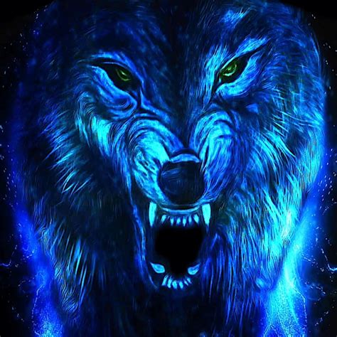 The great collection of wolf wallpaper hd for desktop, laptop and mobiles. Pin by DLPNG on Wolf png | Wolf, Png, Supernatural