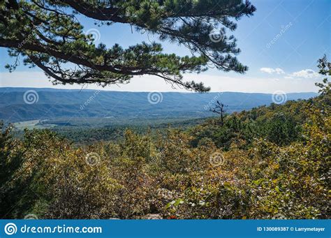 Autumn At Goose Lake Ford Pinchot National Forest Royalty Free Stock