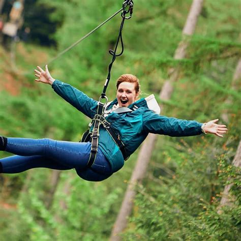 Go Ape Normanby Hall Visit Lincolnshire