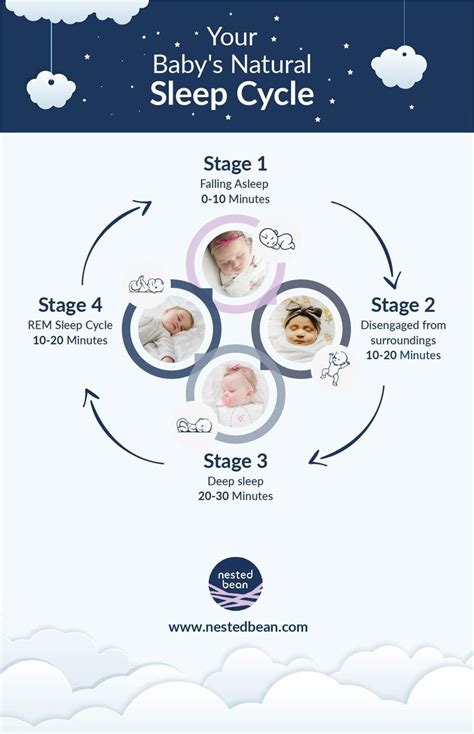 Your Babys Natural Sleep Cycle Rem Sleep Cycle Baby Sleep Cycles
