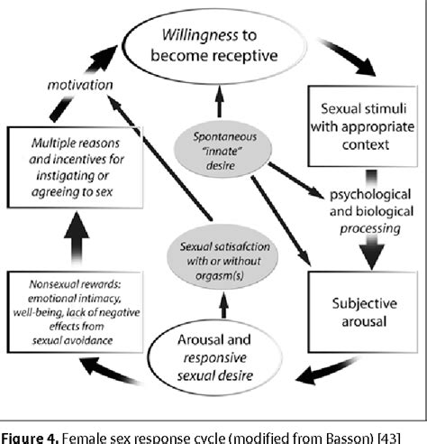 Figure From The Evolution Of The Female Sexual Response Concept