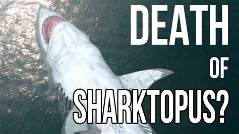 Sharktopus Vs Pteracuda Primo Straordinario Trailer Spetteguless