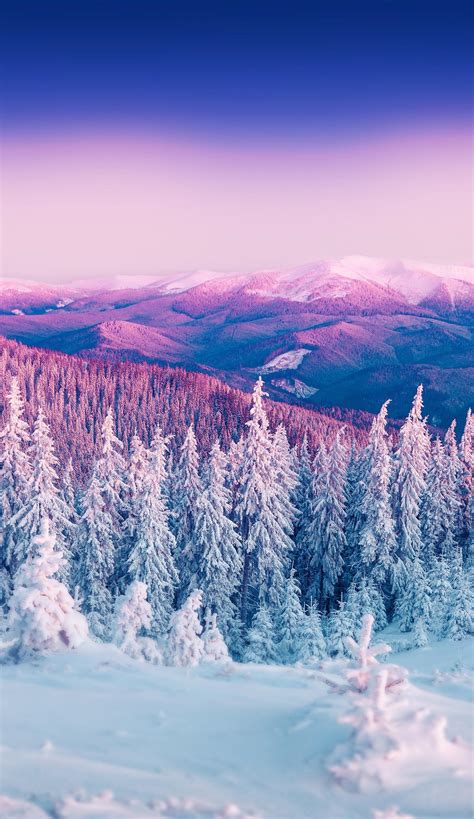 Cute Winter Wallpaper Iphone