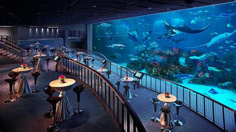 상어와의 짜릿한 하룻밤 세계의 놀라운 수중 호텔and레스토랑 7곳 Resorts Singapura Ballrooms