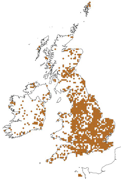 National Earthworm Recording Scheme Earthworm Society Of Britain
