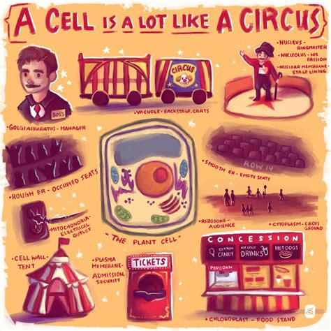 We did not find results for: Cell Analogy by lucity on DeviantArt
