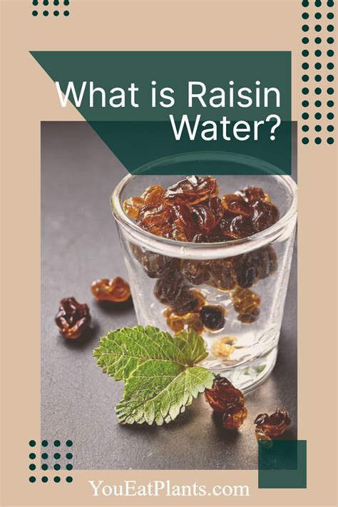 What Is Raisin Water Raisins Benefits Health Food Raisin
