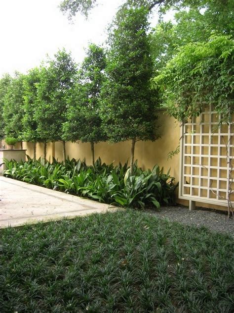 30 Big Tips And Ideas To Create Backyard Privacy Landscaping Page 4 Of 30