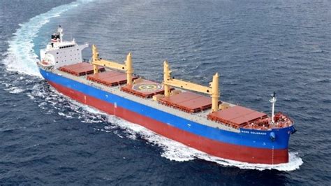 Opportunities In Dry Bulk Prompt Norden To Expand Newbuilding Order