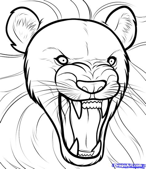 Free How To Draw A Lion, Download Free How To Draw A Lion png images