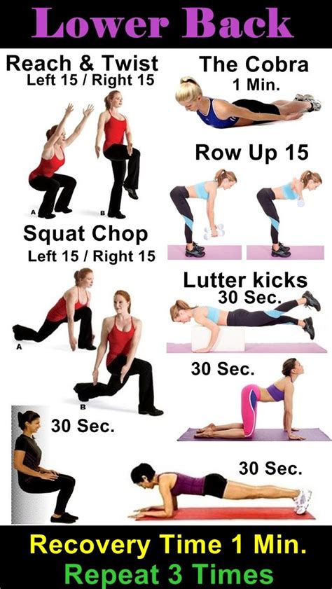 Lower Back Workout Workout Exercise Workout Routine