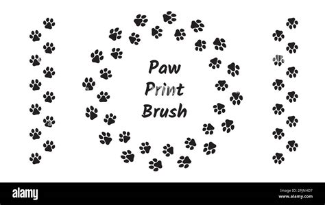 Paw Print Brush Animal Footprints Prints Or Foot Steps Foot Steps