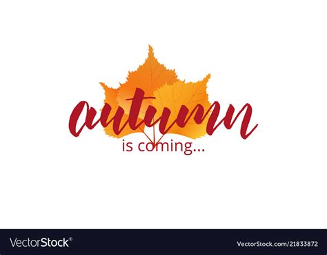 Autumn Is Coming Lettering And Fall Leaves Vector Image