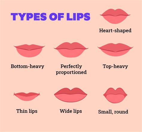 Types Of Lip Shapes