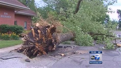 Powerful Storm Knocks Down Trees Damages Houses Abc7 Chicago