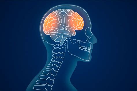 How Concussions Impact Brain Health