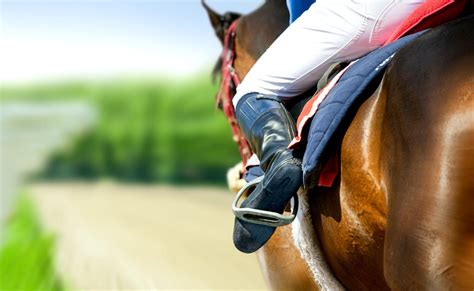 Part 1)—not to mention all the classics. The Top 10 Most Famous Racehorses Of All Time - Casino.org ...