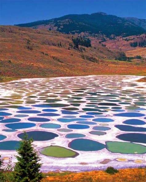 Travel Gallery Mysterious Spotted Lake British Columbia Canada