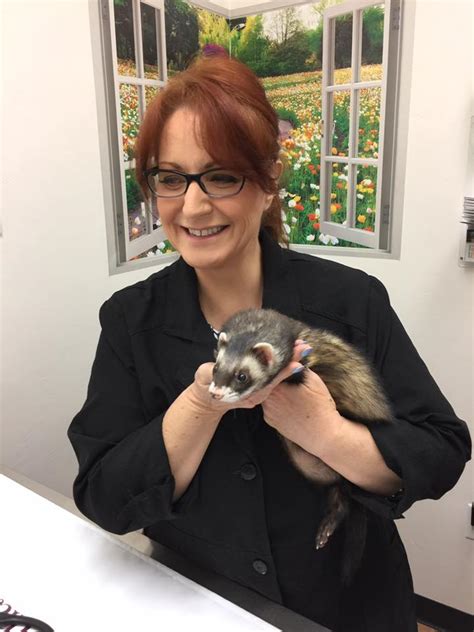 Mesa, az, veterinarians, clinics, and animal hospitals are at your fingertips! Exotic Pet Care at Little Critters Vet - Veterinarians ...