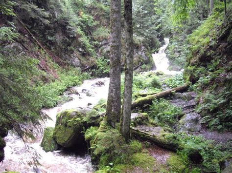 Day 10 Black Forest Rhine Falls Swiss Alps Sams Blog