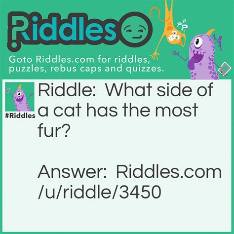 What Side Of A Cat Has The Most Fur Riddle Answer