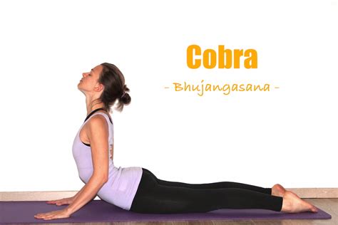 Targeting primarily the legs, it is the perfect antidote to relax and stretch the muscles of the legs, especially after a long day of work. How to do cobra pose - Yoga poses step by step explained