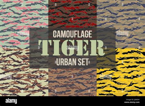 Tiger Camo Hi Res Stock Photography And Images Alamy