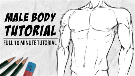 How To Draw Men Body Agencypriority