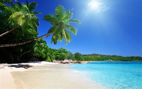 Tropical Beach Landscape 1080p Wallpapers Wallpaper Download High