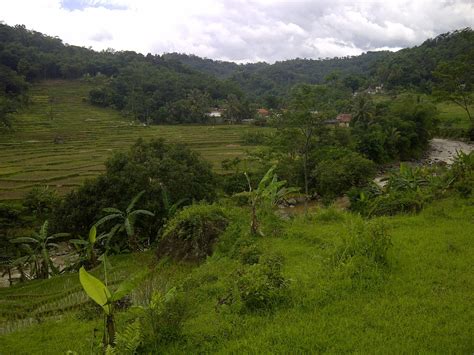 Tapi tidak dengan pantai nglambor. Jernih Air Sungai Cisadane