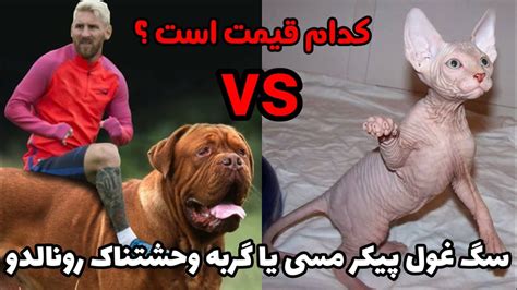 باید بدانید که استفراغ سگ ها گاهی می‌تواند به دلایل سودمند مثل خارج کردن چیزی که نباید می خوردند باشد و گاهی هم نشانه ای از یک مشکل سلامت جدی است. گربه وحشتناک رونالدو گران قیمت است یاهالک سگ غول پیکر مسی ...