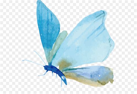 Free Free Butterfly Watercolor Svg 133 SVG PNG EPS DXF File