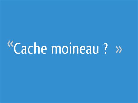 Check spelling or type a new query. Cache moineau ? - 7 messages