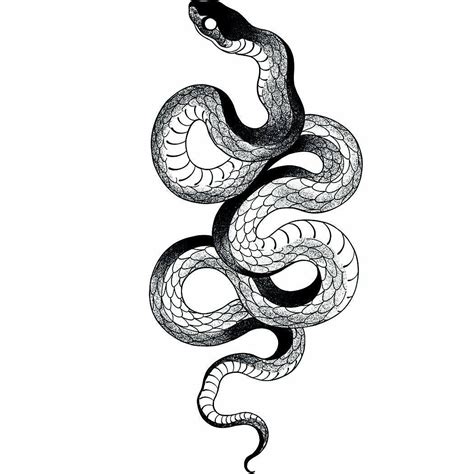 Snake Tattoo Template