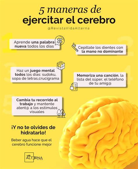 5 Maneras De Ejercitar El Cerebro Cerebro Gimnasia Cerebral