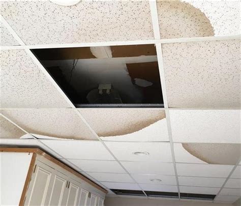 For this reason, it is important to know how to repair damage once it occurs. 13 Essential Points on Undertaking Water Damage Repair ...
