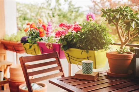 Acquistale oggi stesso nel nostro vivaio online! Fioriere Con Piante Grasse Decorate Con Cusci Di Frutti Di ...