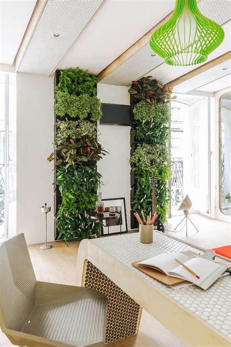 Vertical Garden Indoor Plants All About Hobby