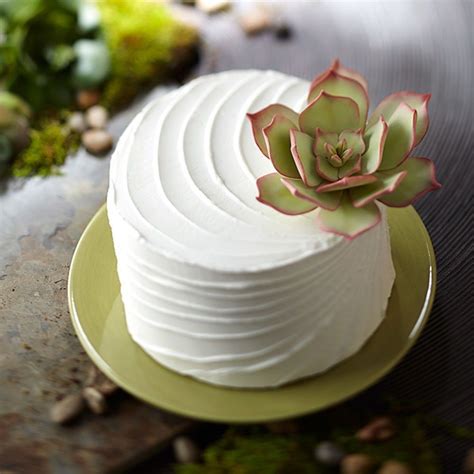 Jeden tag werden tausende neue, hochwertige bilder hinzugefügt. Große, Mini Torten und Cup Cakes mit Sukkulenten | Kuchen ...