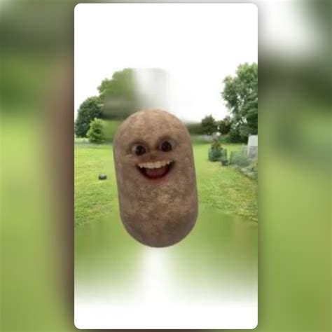 Potato Irl Lens By Phil Walton Snapchat Lenses And Filters
