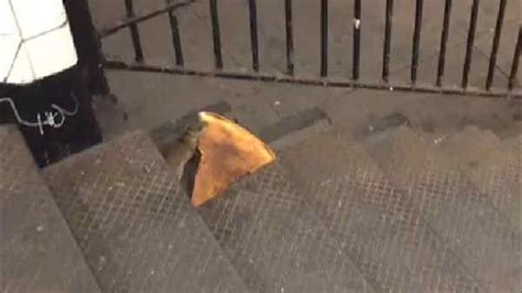 Pizzarat Video Shows New York City Rodent Carrying Pizza Slice Down