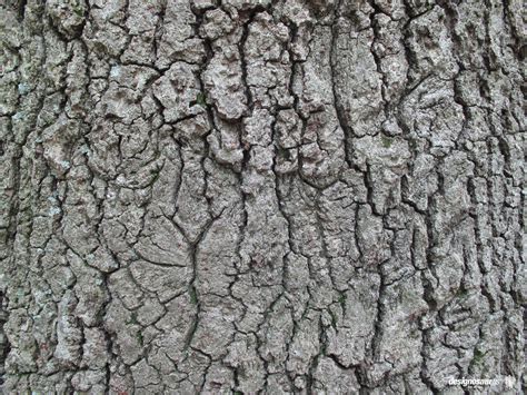Free photo: Nature textures - Grass, Nature, Texture - Free Download