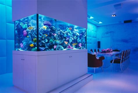 Aquarium Dans Le Salon En Plus De 103 Idées Magnifiques