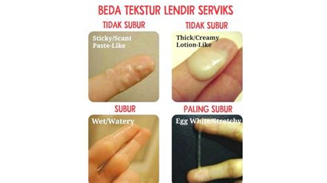 Follow aja dulu ketik !notify. Sedang Rencanakan Kehamilan? Kenali Dulu Tanda Masa Subur ...