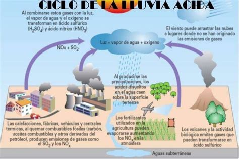 Esquema de la lluvia ácida Fotos Guía 2021