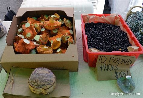 visiting the ballard farmers market {locally grown food porn ahead}